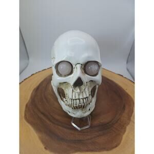 Resin Skull W/rose Quartz Eyes